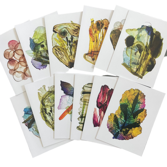Pressed Vegetable Giclee Prints