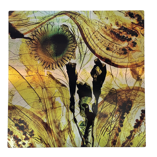 Pressed Vegetable Art on Aluminum - 12x12