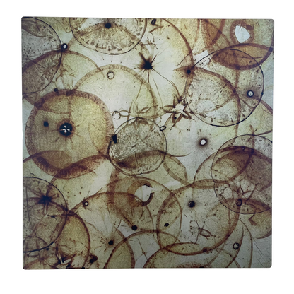 Pressed Vegetable Art on Aluminum - 12x12