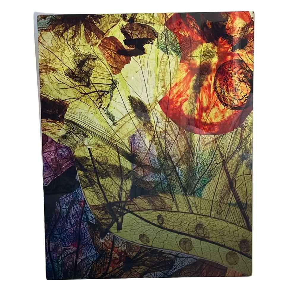 Pressed Vegetable Print