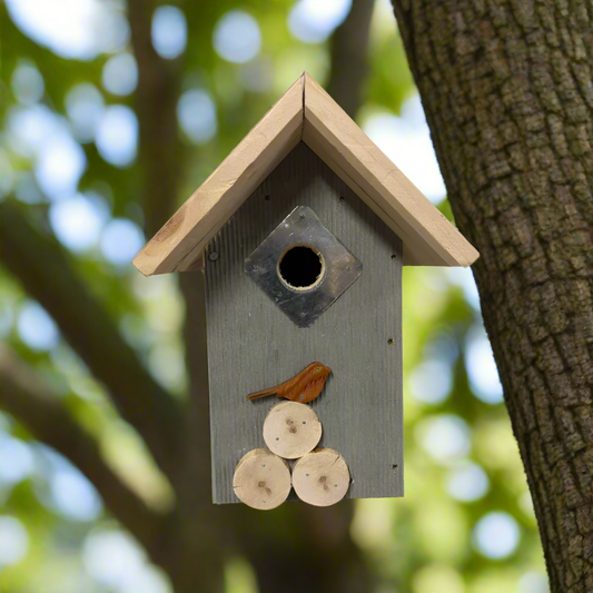 For the Birds by Lenna