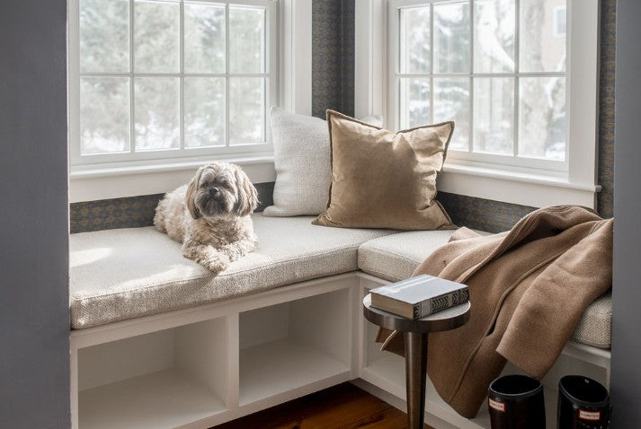 Bench cushion with dog
